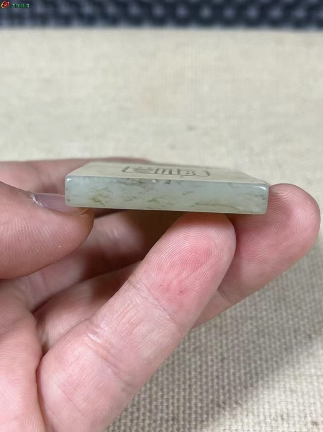 48817.jpg