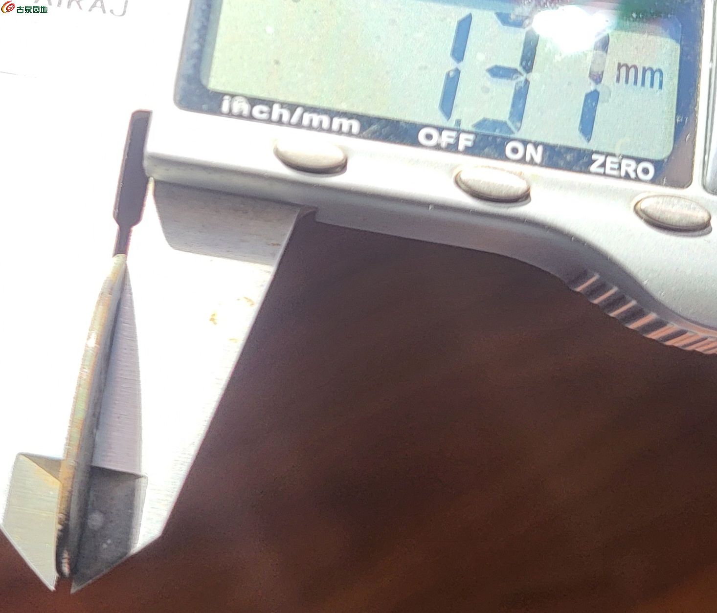 20260509_160459.jpg