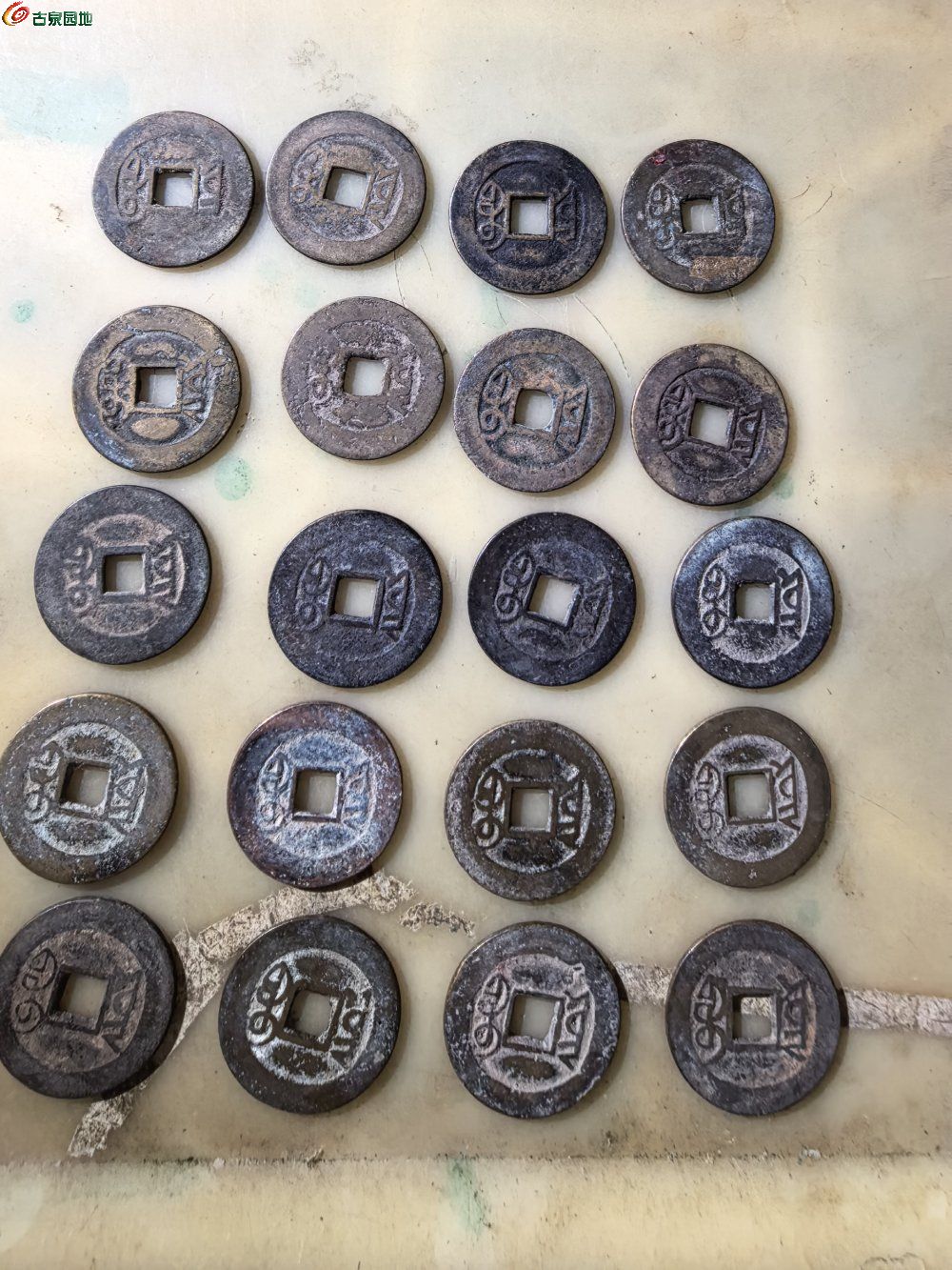 IMG_20260516_101730.jpg
