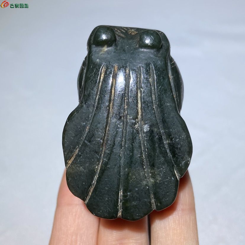 和田玉老玉蝉把玩件2.jpg