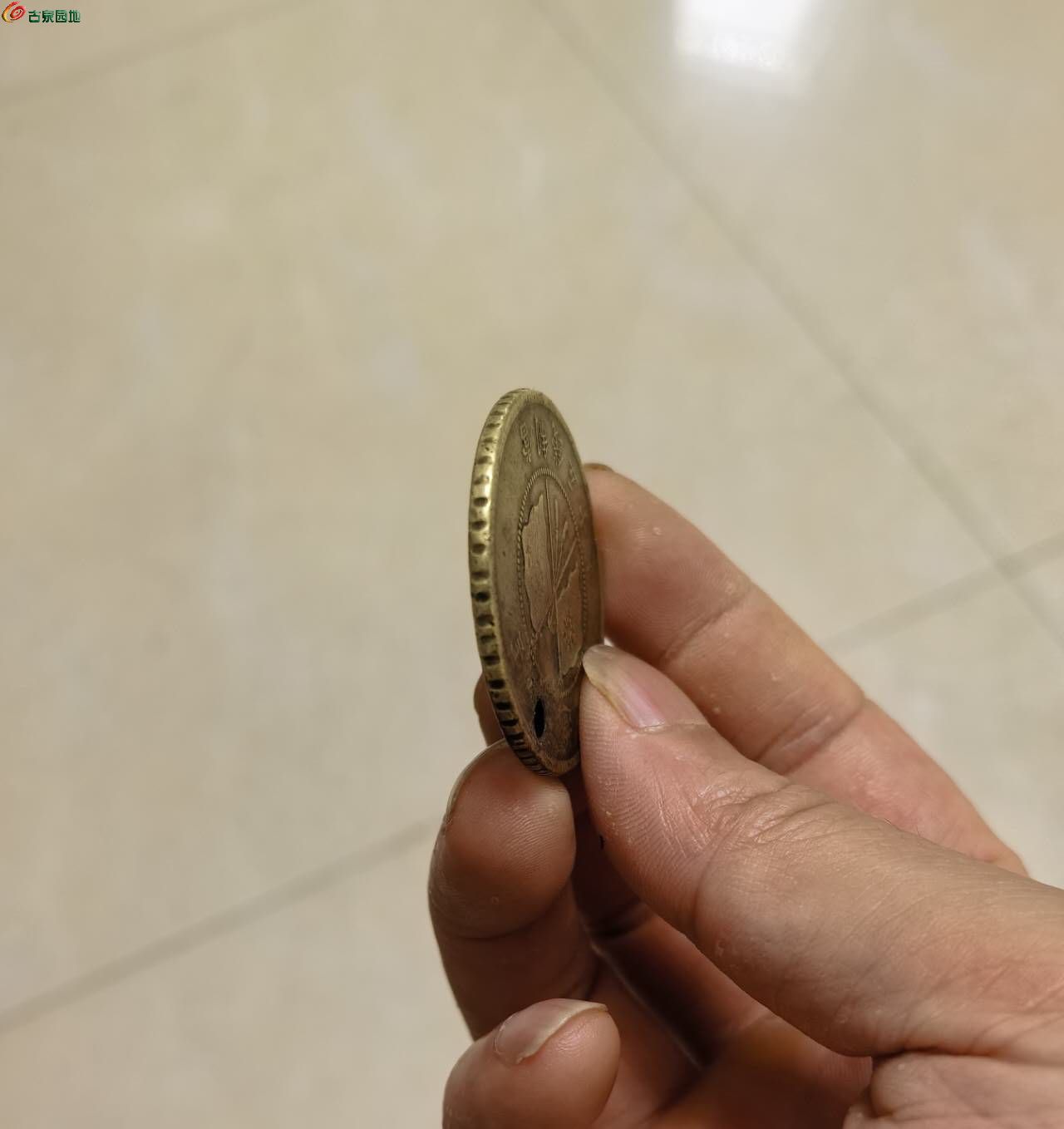45833.jpg