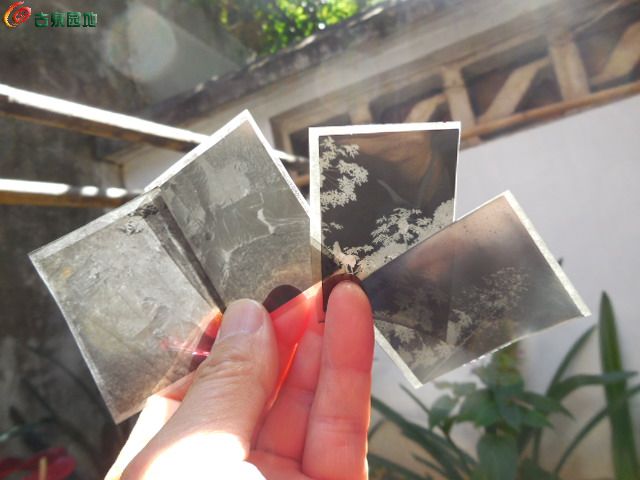 DSCN2658.JPG