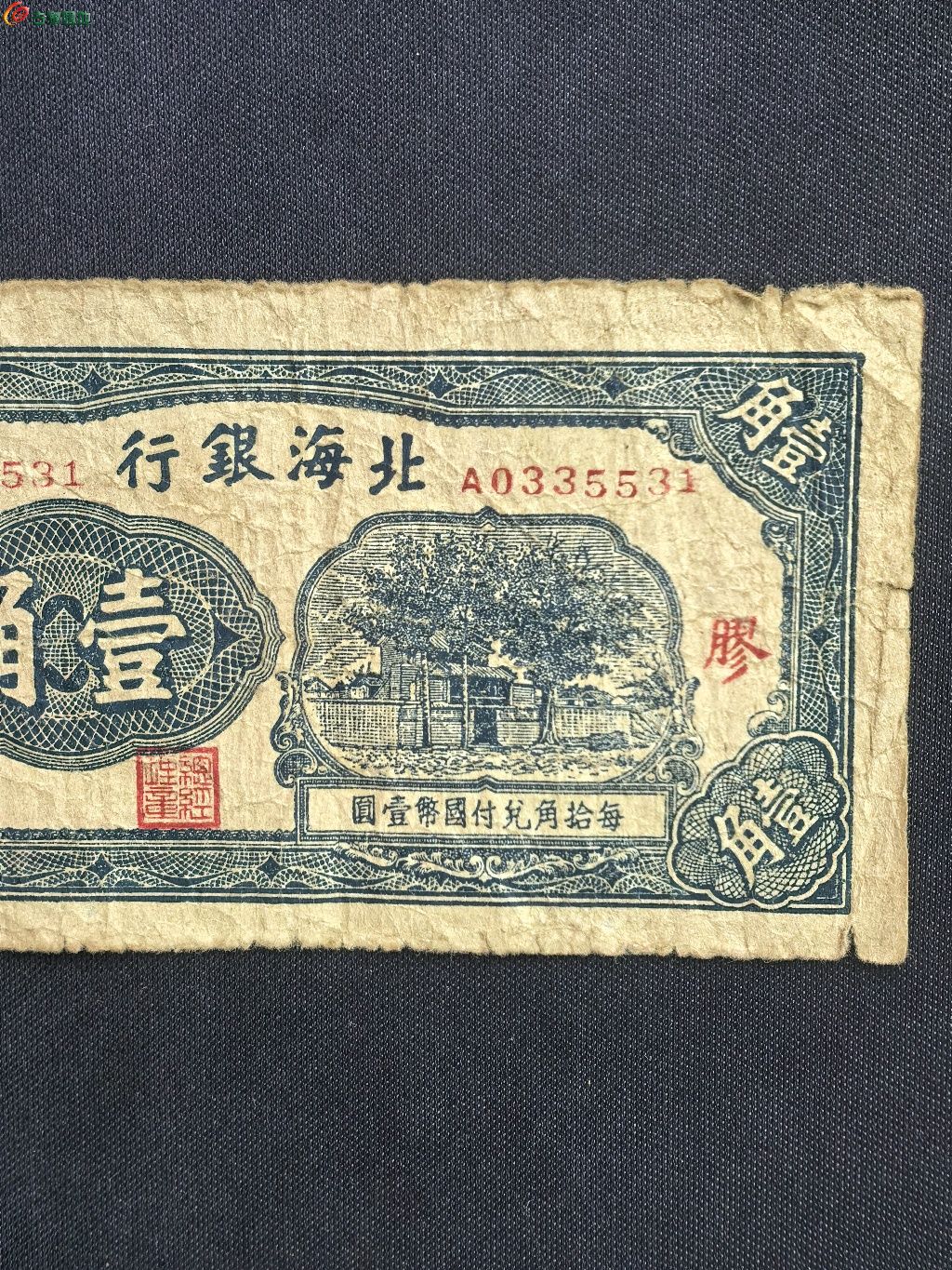 1779116462915.xfile.jpg