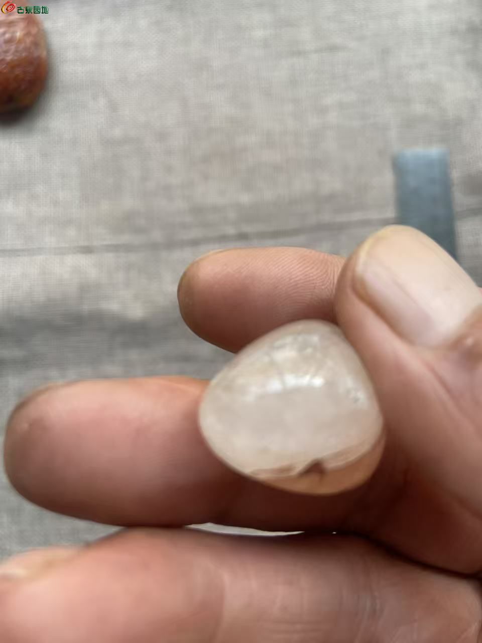 微信图片_20260520182527_3179_3.jpg