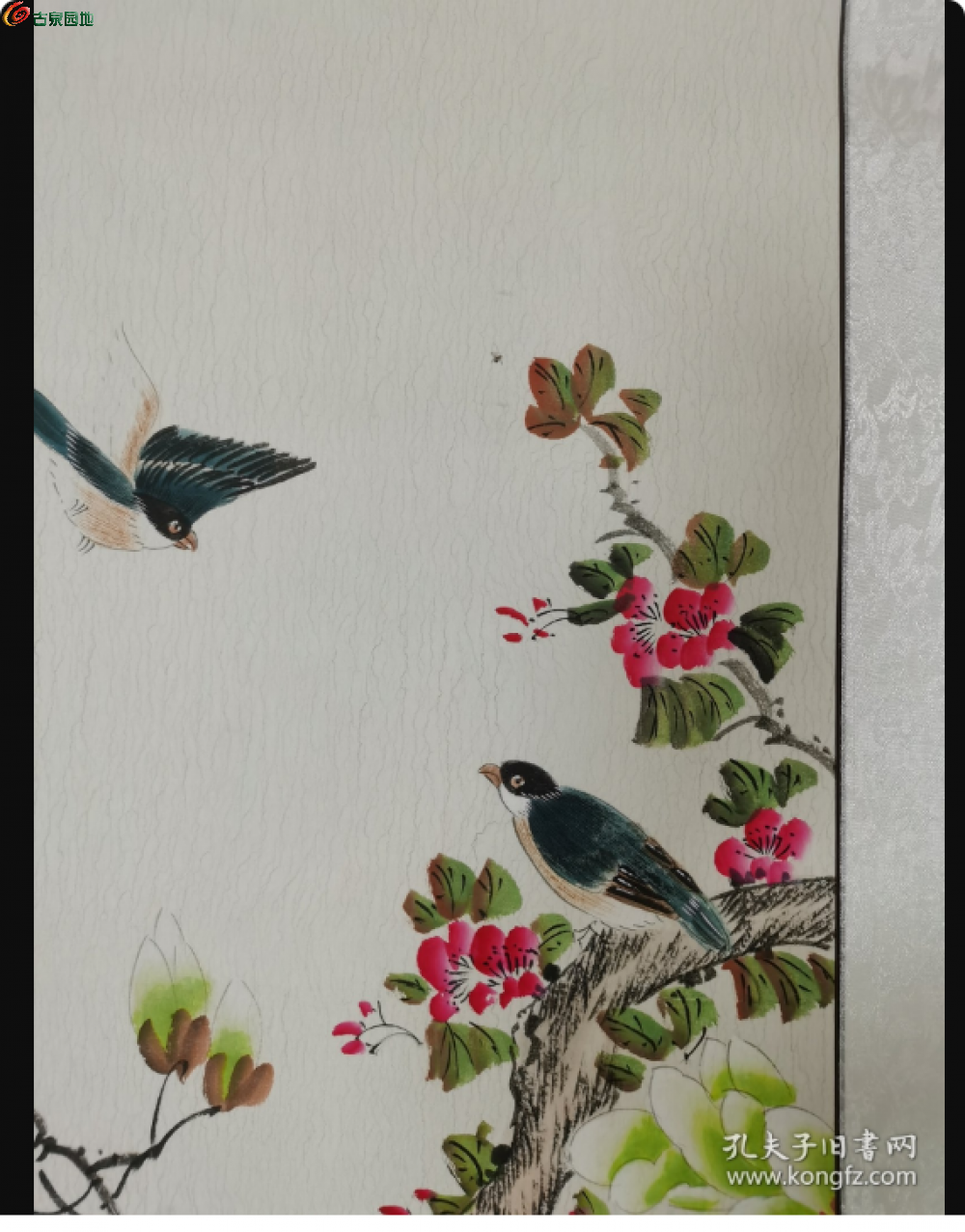 局部截取_20250226_225750.png