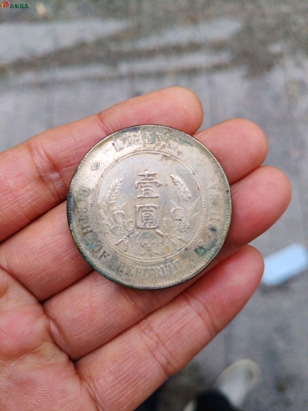 1779681069923.xfile.jpg