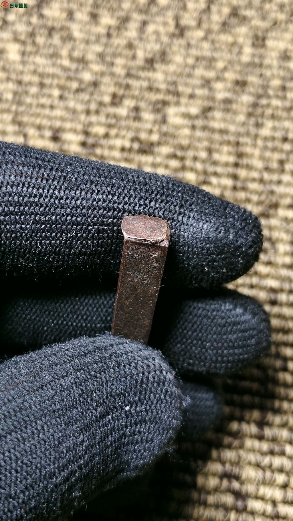 1779698948529.xfile.jpg