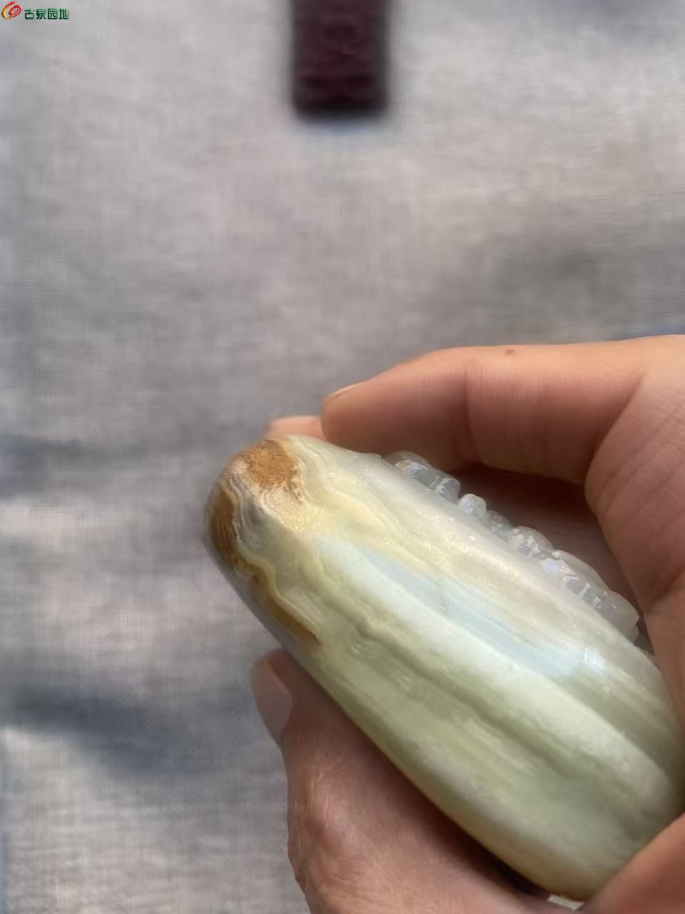 微信图片_20260530183302_3601_3.jpg