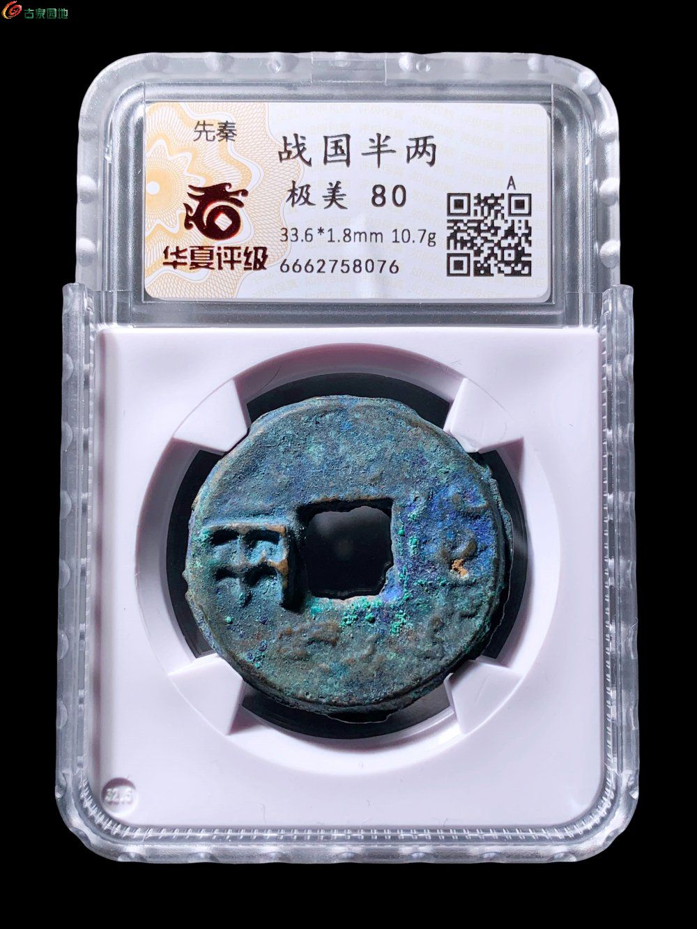 战国半两10.7克华夏80分- 珍品古钱币第184期钱币个人专场- 园地拍卖