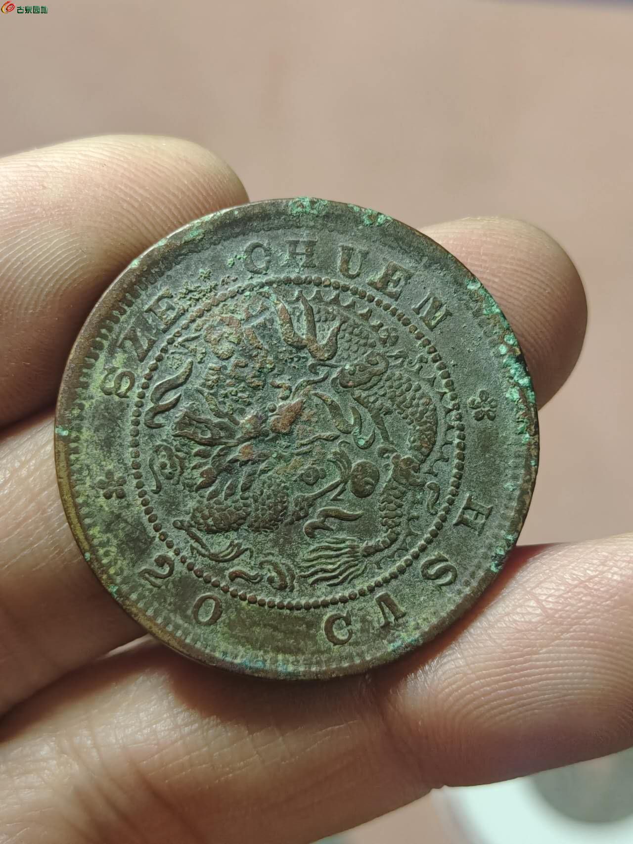 21333.jpg