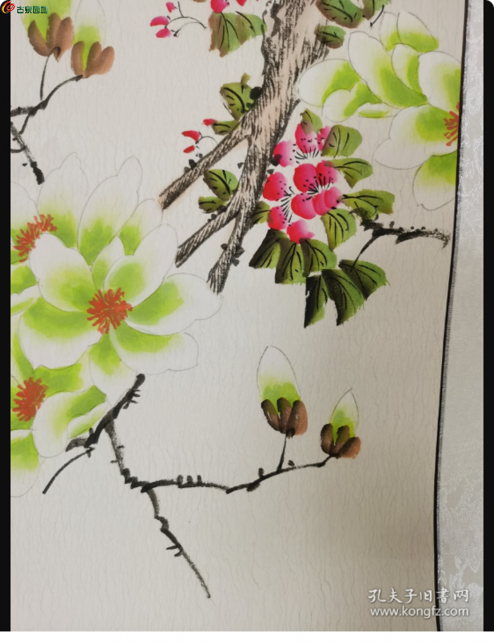 局部截取_20250226_225918.png