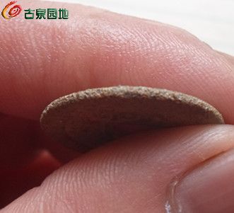 嘉庆文庆1-8.jpg