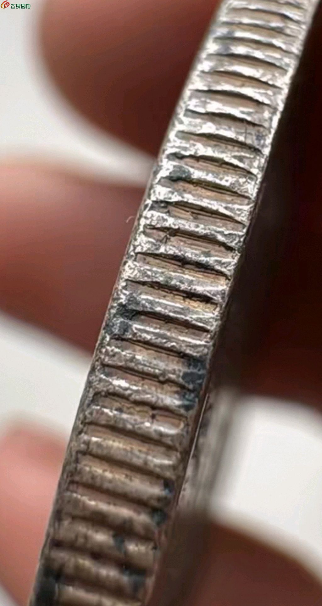 1779954319006.xfile.jpg