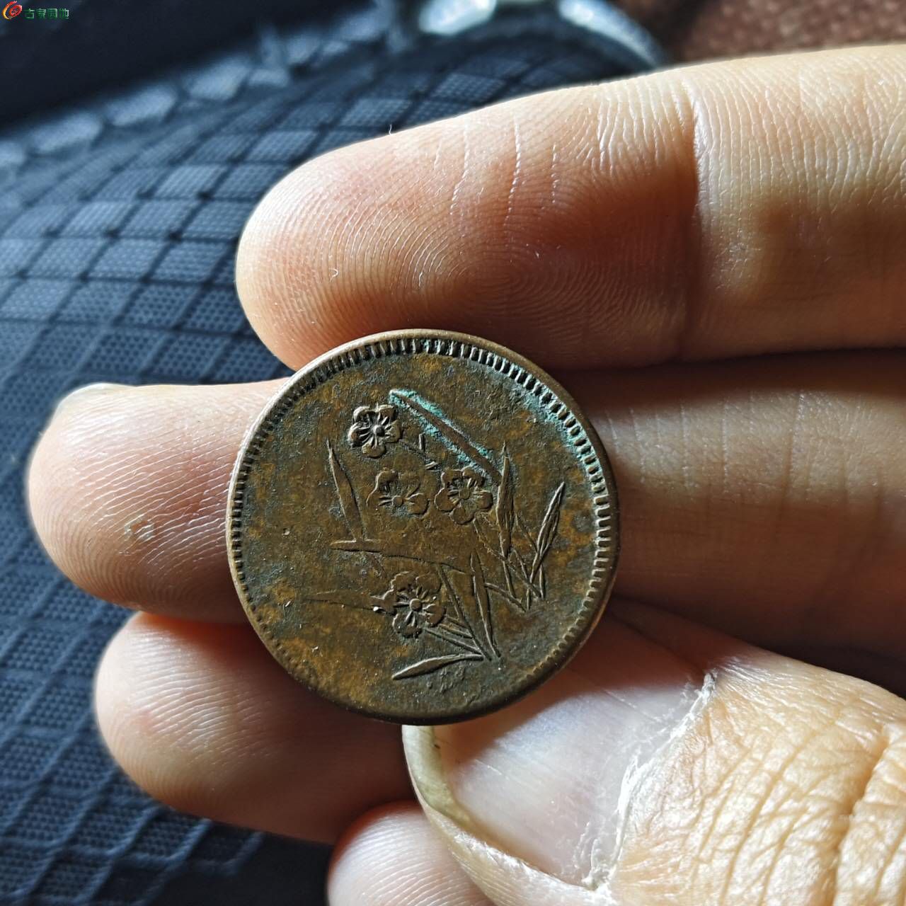 57557.jpg