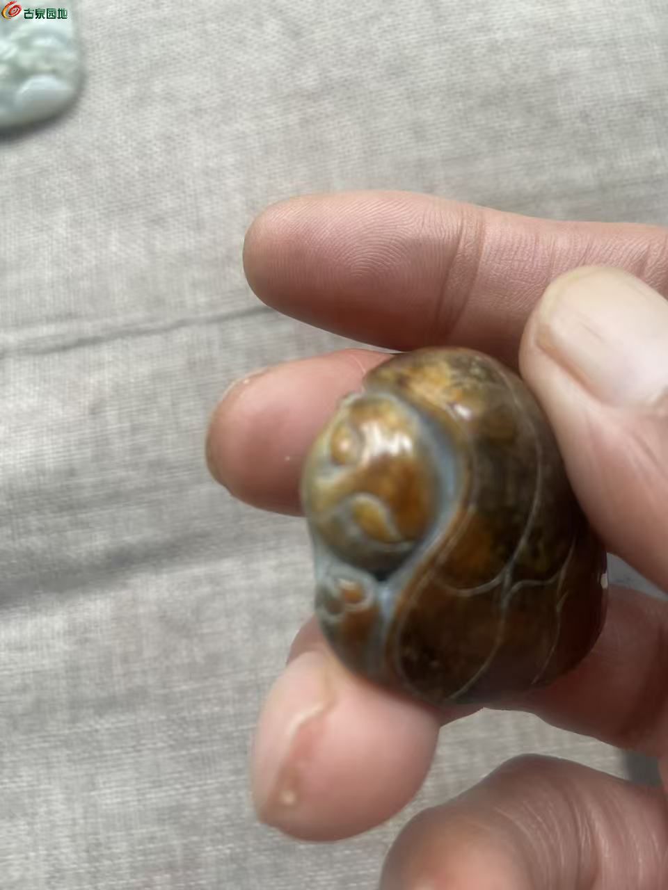 微信图片_20260525120616_3384_3.jpg
