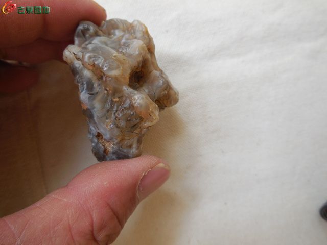 DSCN2570.JPG