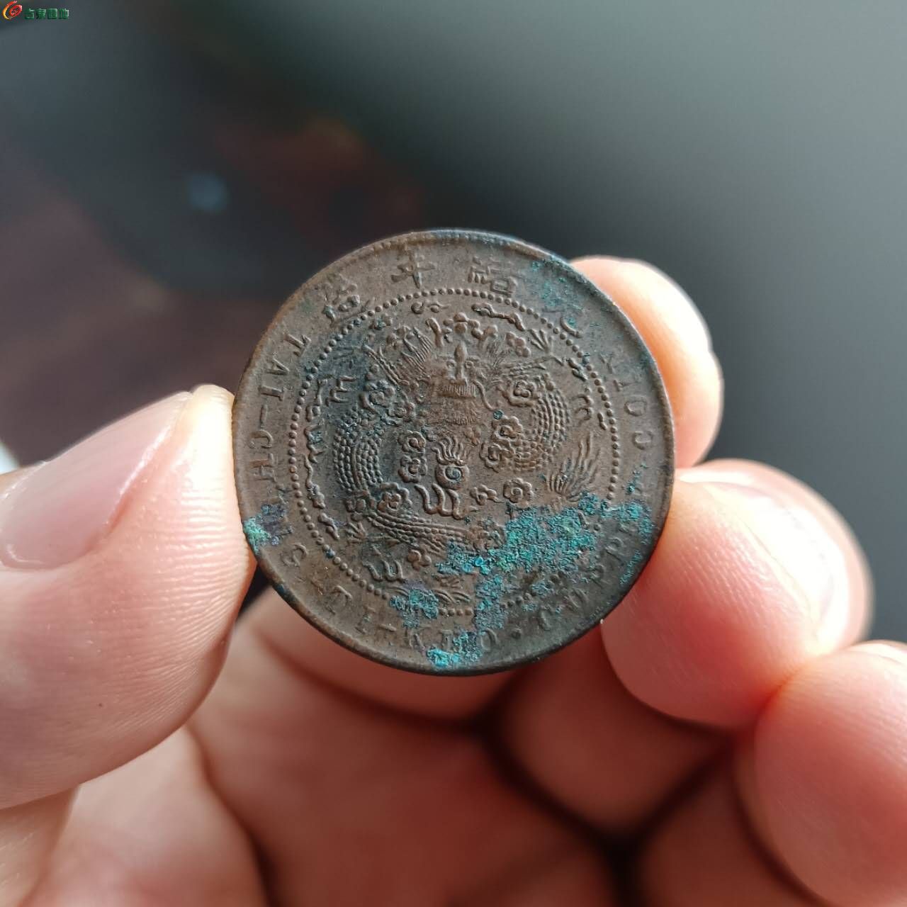 62902.jpg
