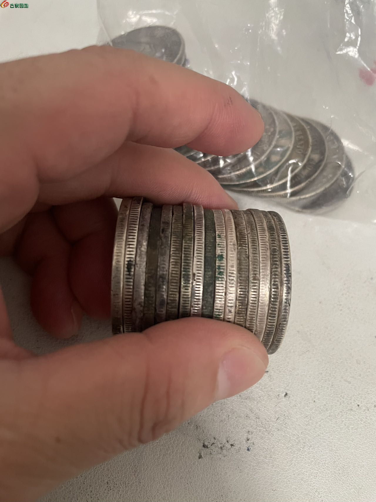 38556.jpg