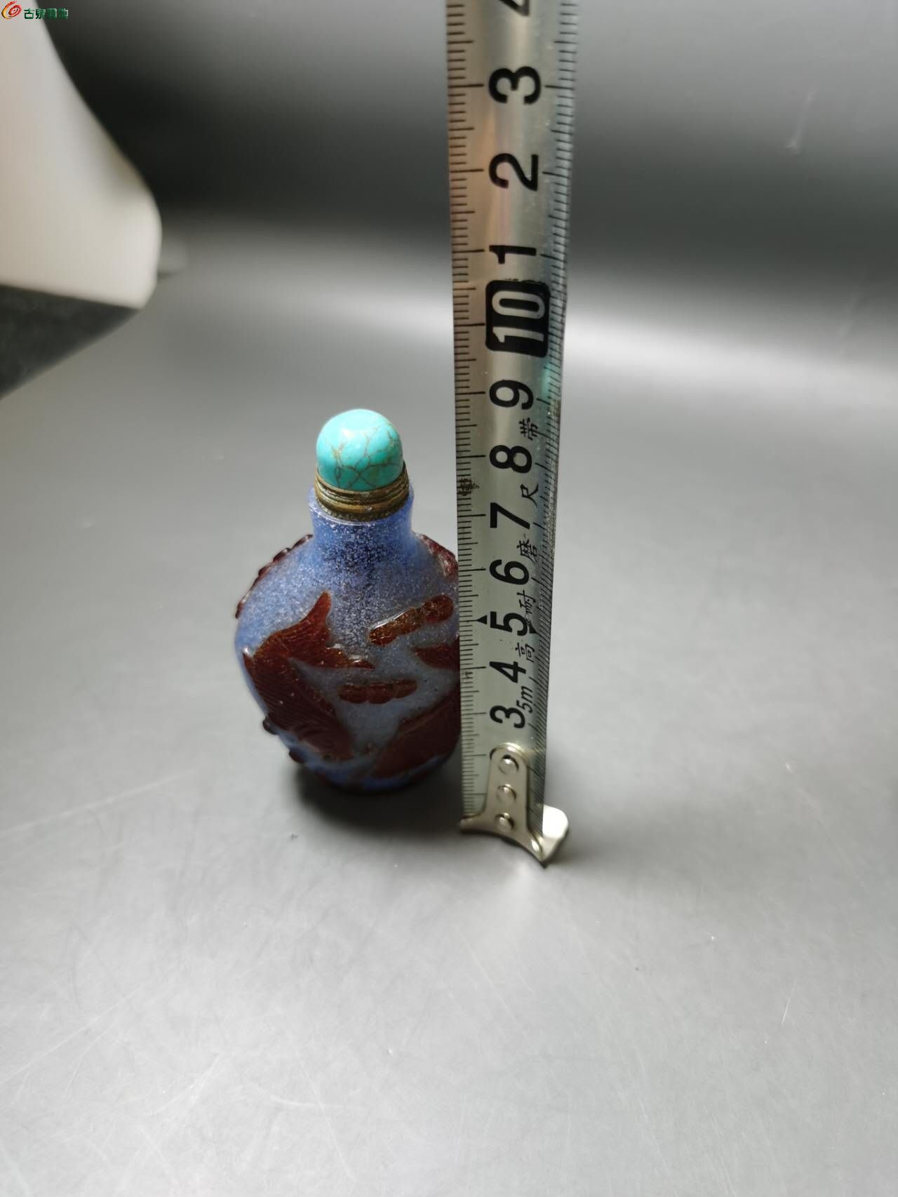 46448.jpg