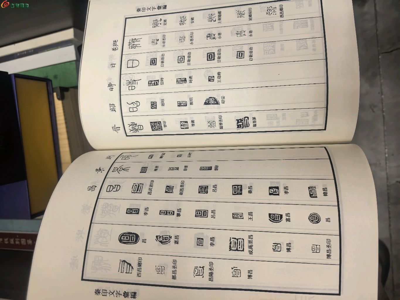 1779516906890.xfile.jpg