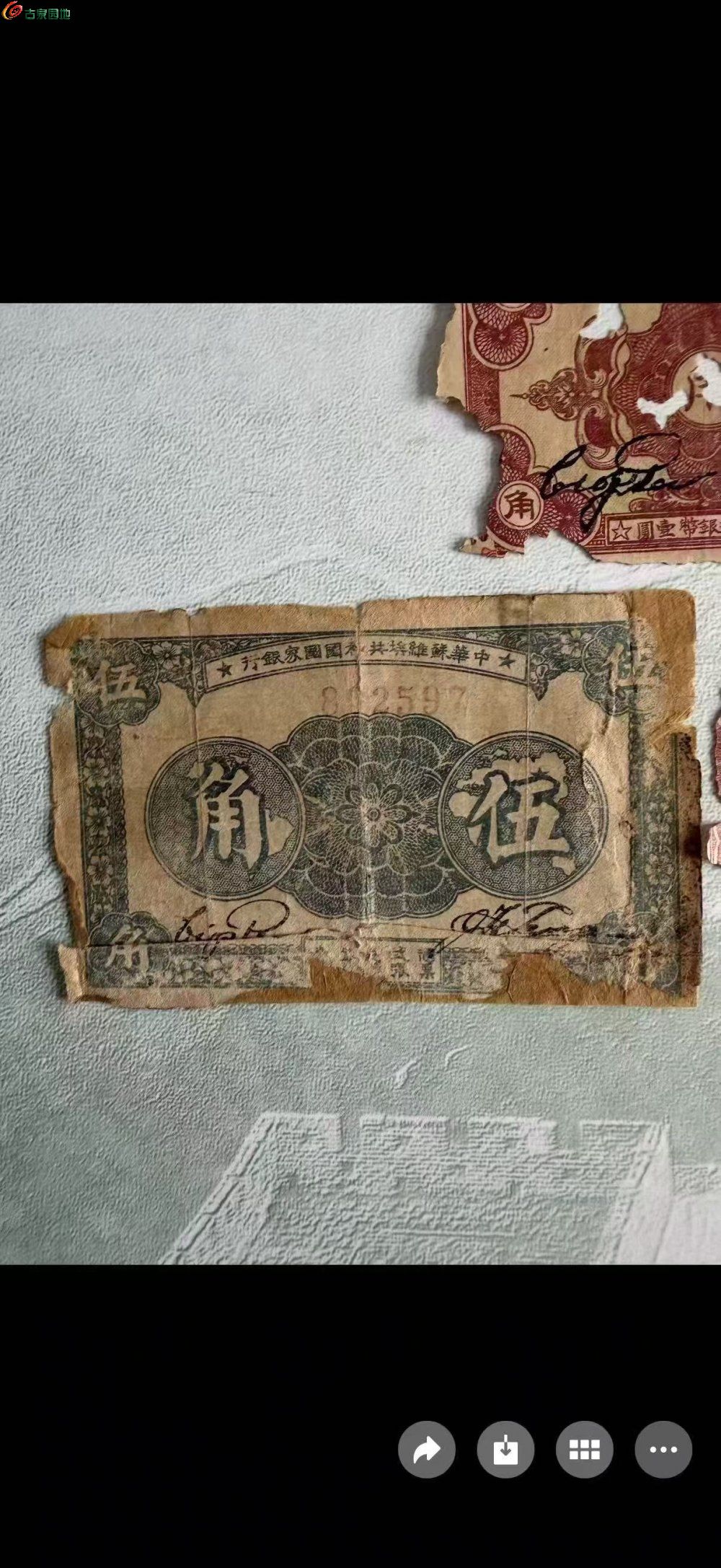 5.jpeg