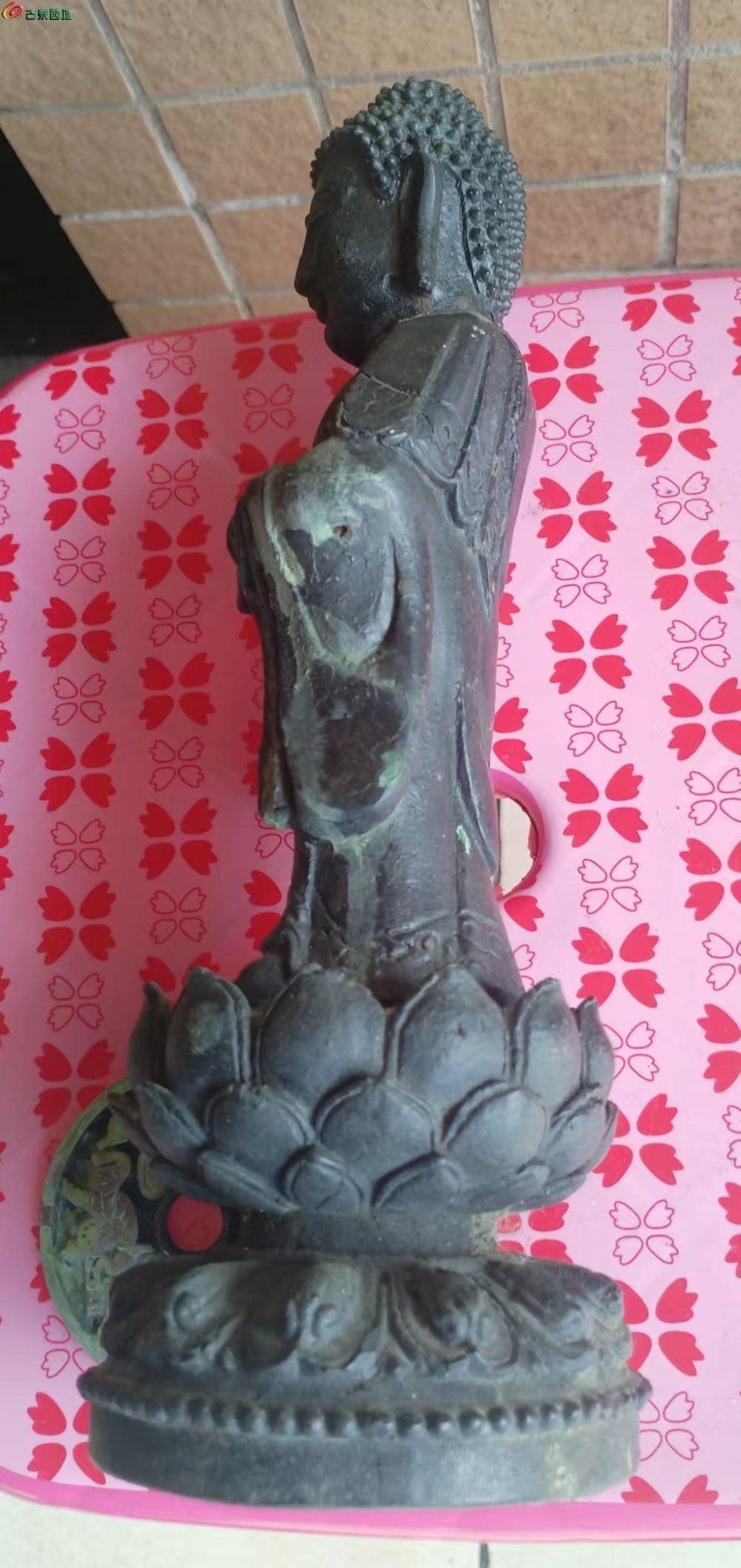 微信图片_20260204105204_1364_6.jpg