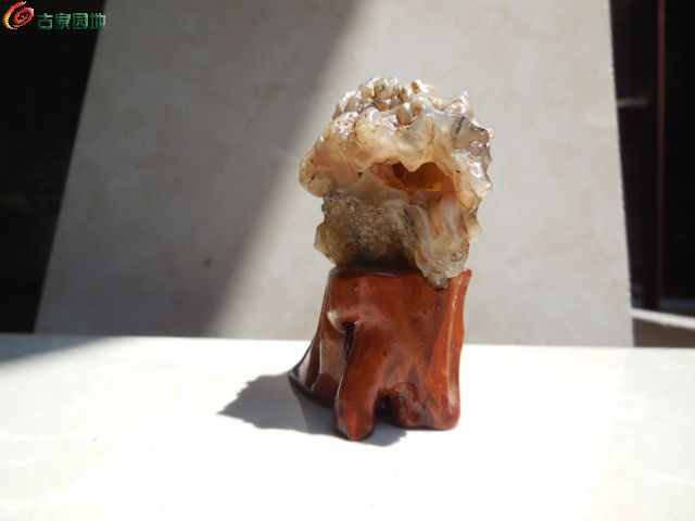 DSCN2578.JPG