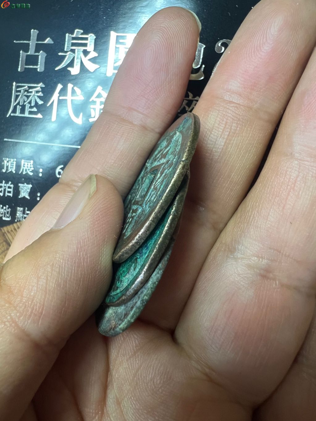 1780482165110.xfile.jpg