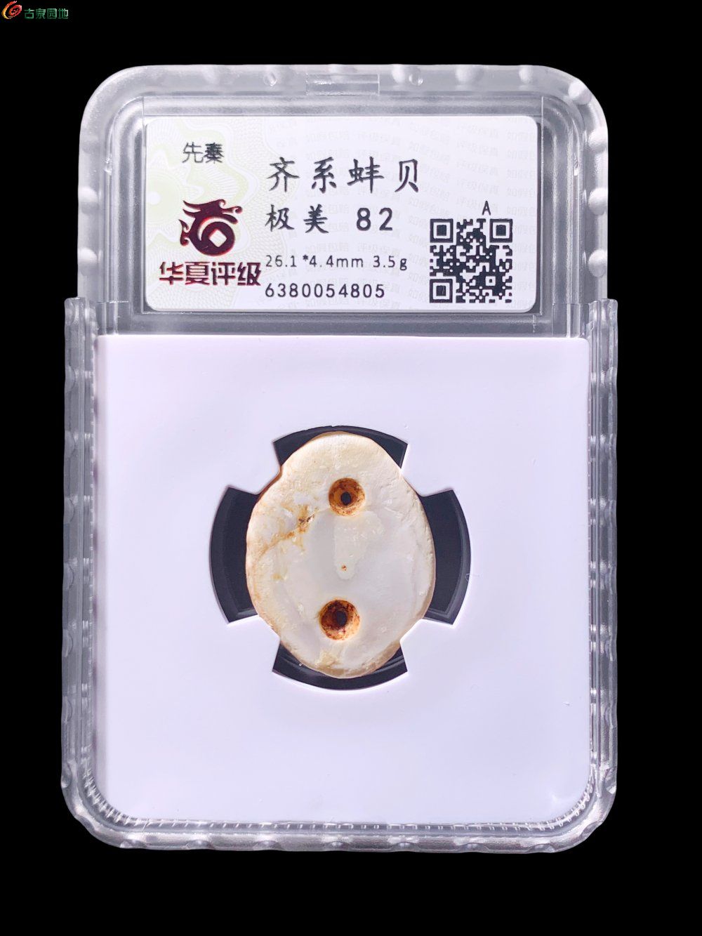 先秦齐系蚌贝华夏82分- 珍品古钱币第199期钱币个人专场- 园地拍卖