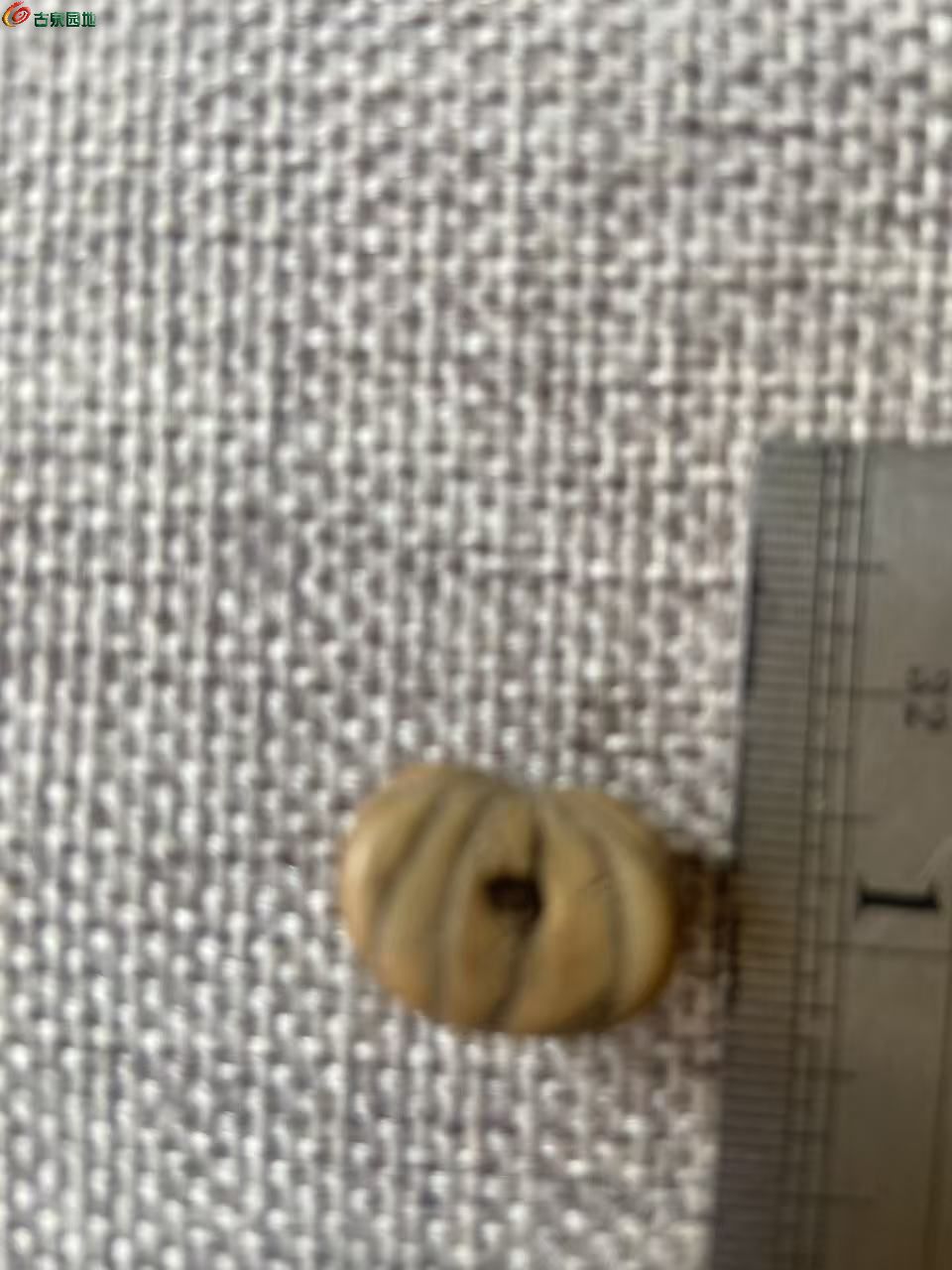 微信图片_20260902154841_9117_3.jpg