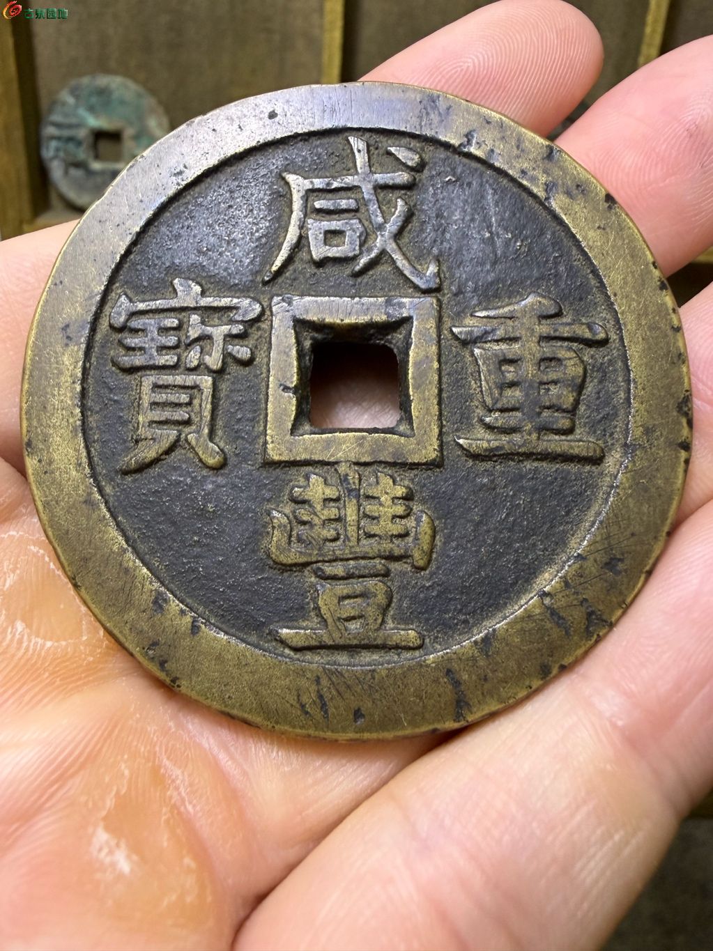 1790608423343.xfile.jpg