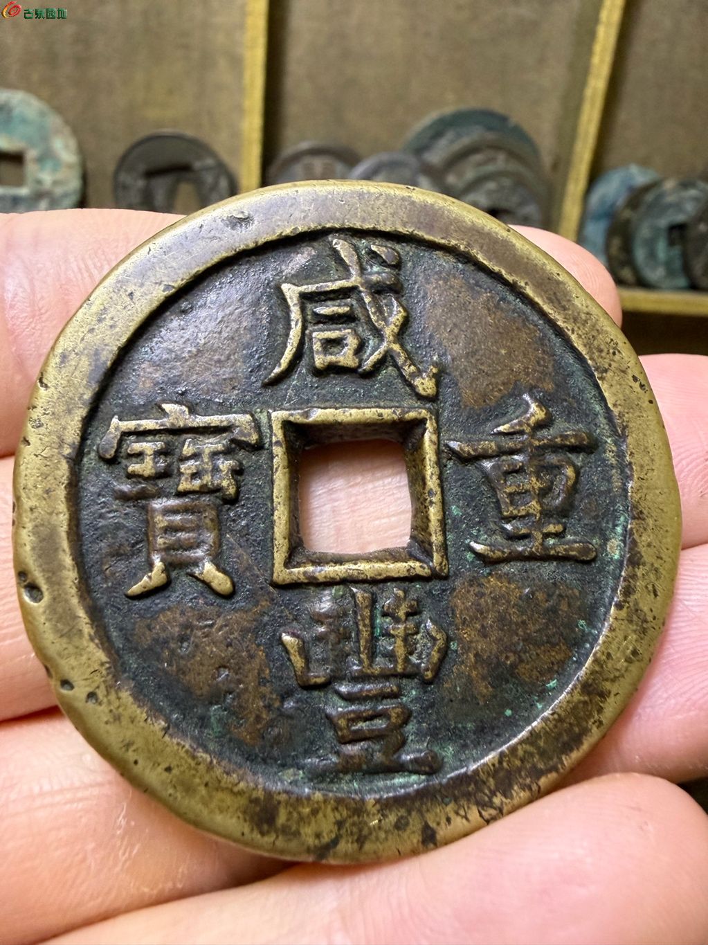 1790608423508.xfile.jpg