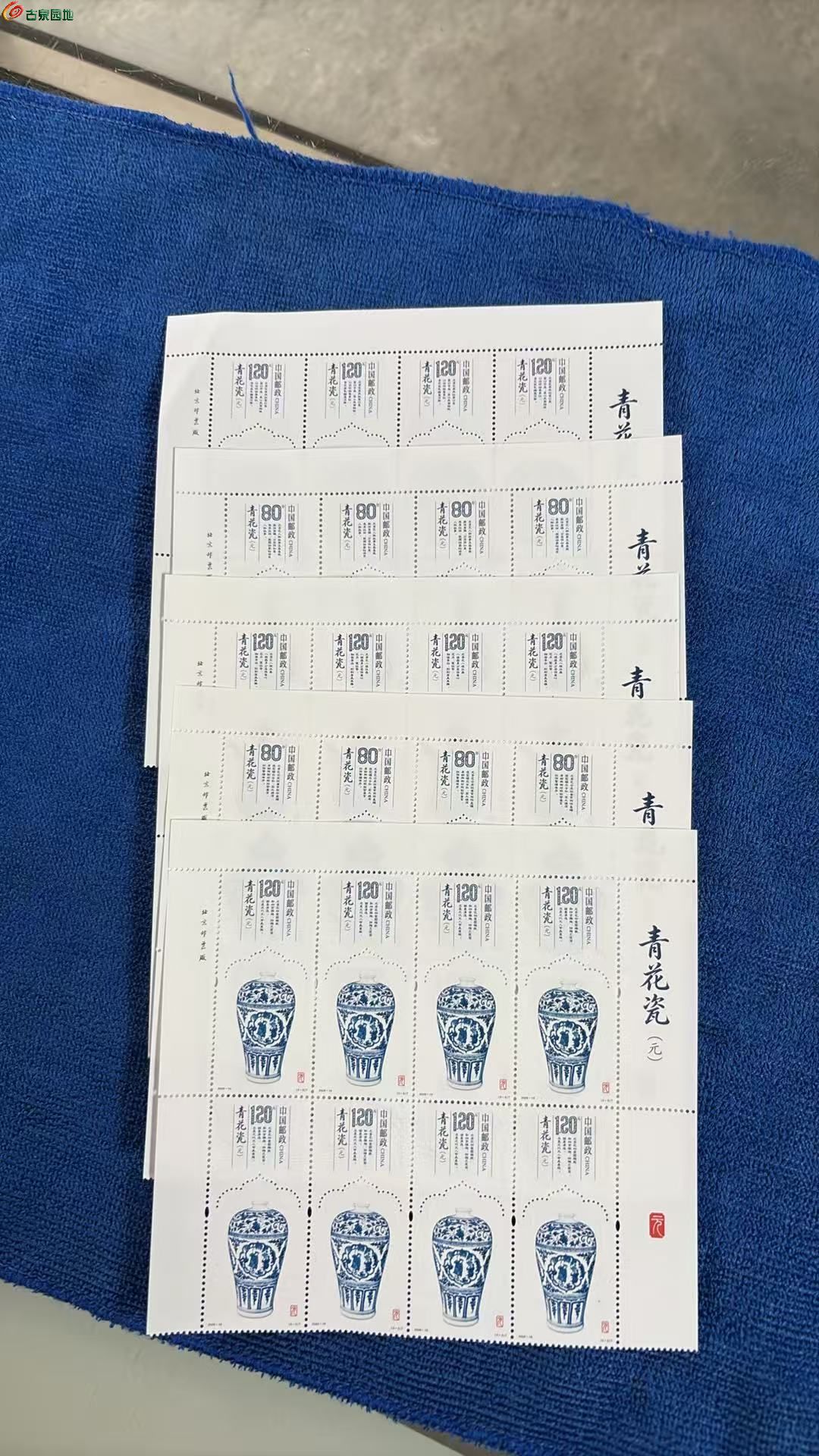 图片点击可在新窗口打开查看
