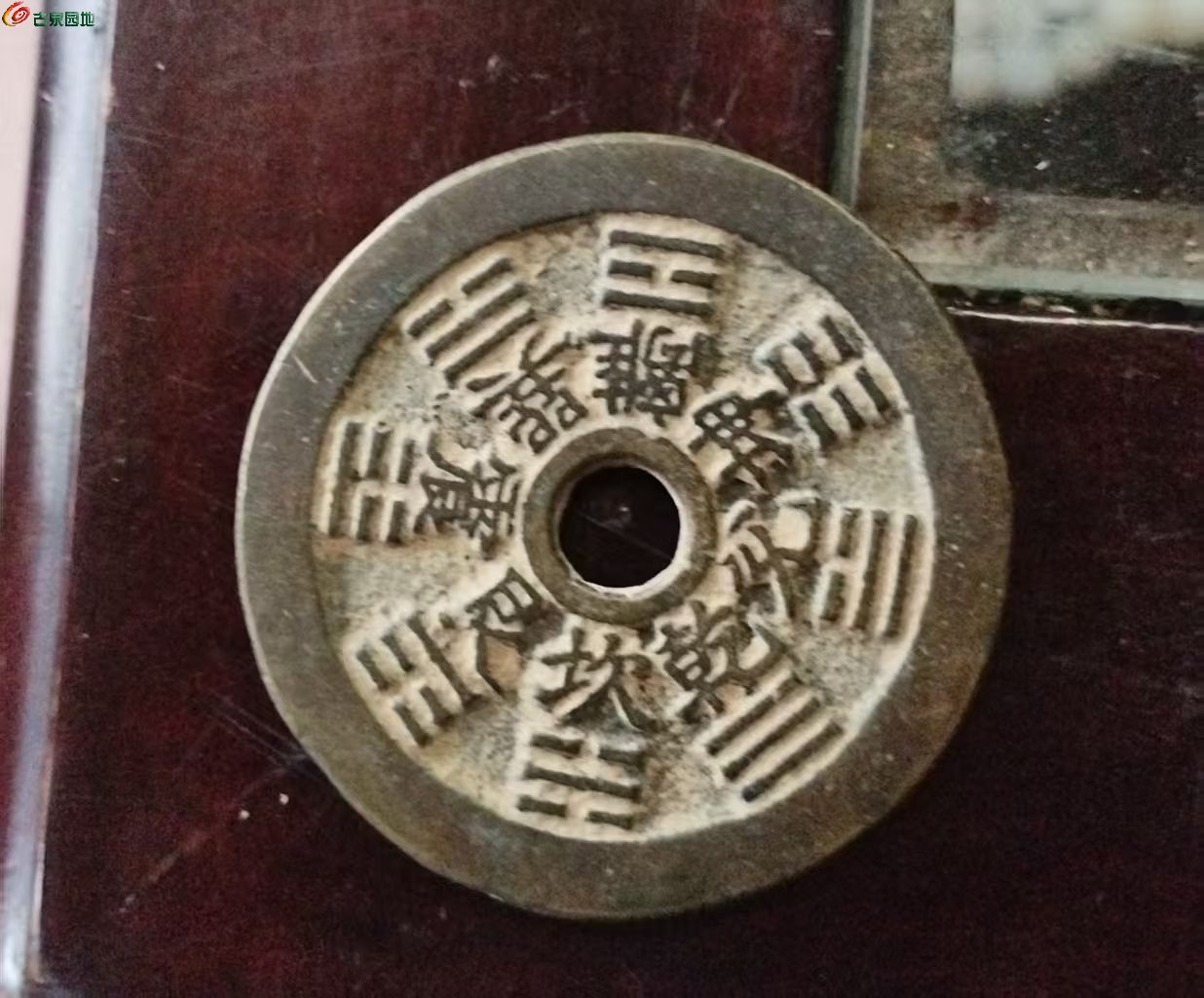 微信图片_20260930105516_2333_10.jpg