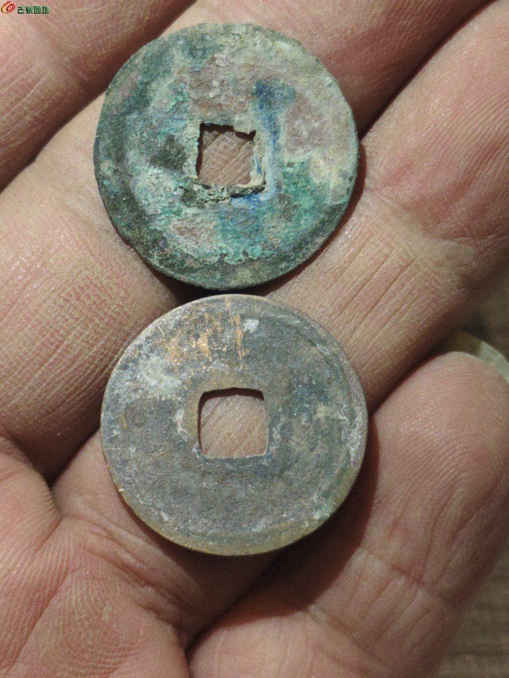 1791035976802.jpg