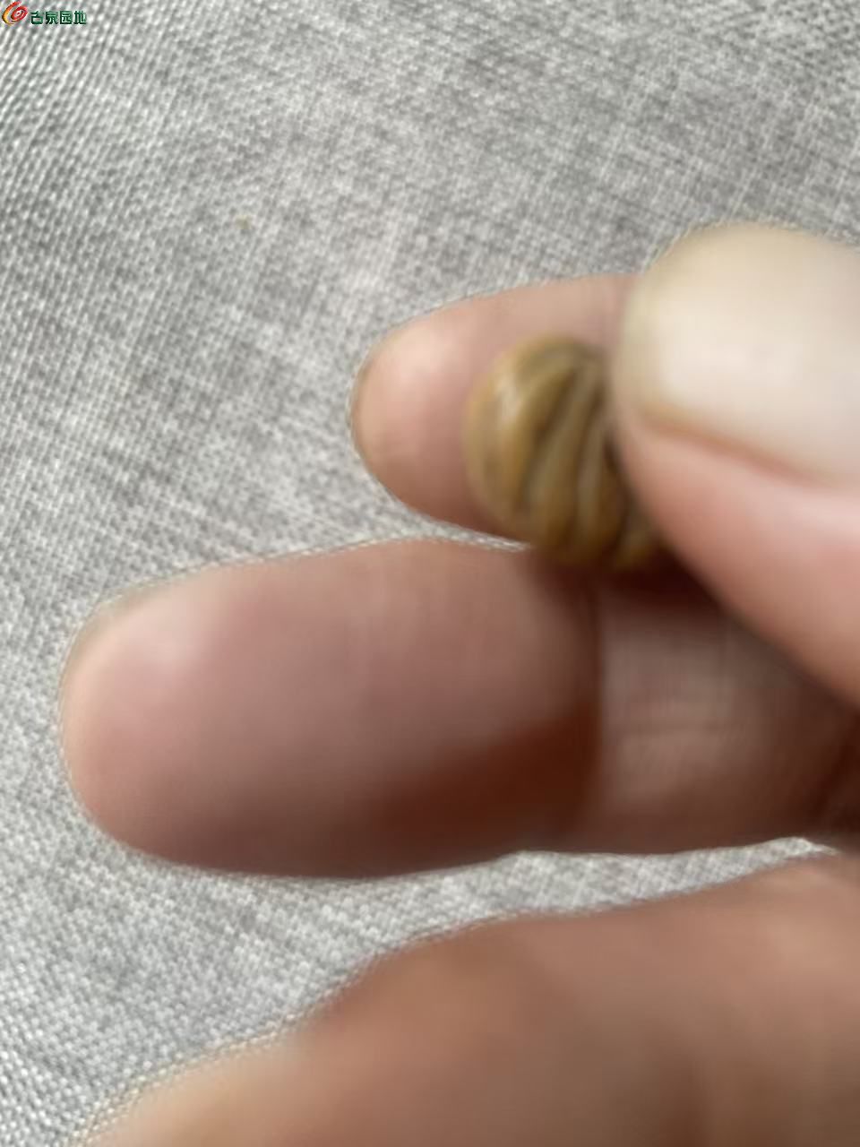 微信图片_20260902154845_9121_3.jpg