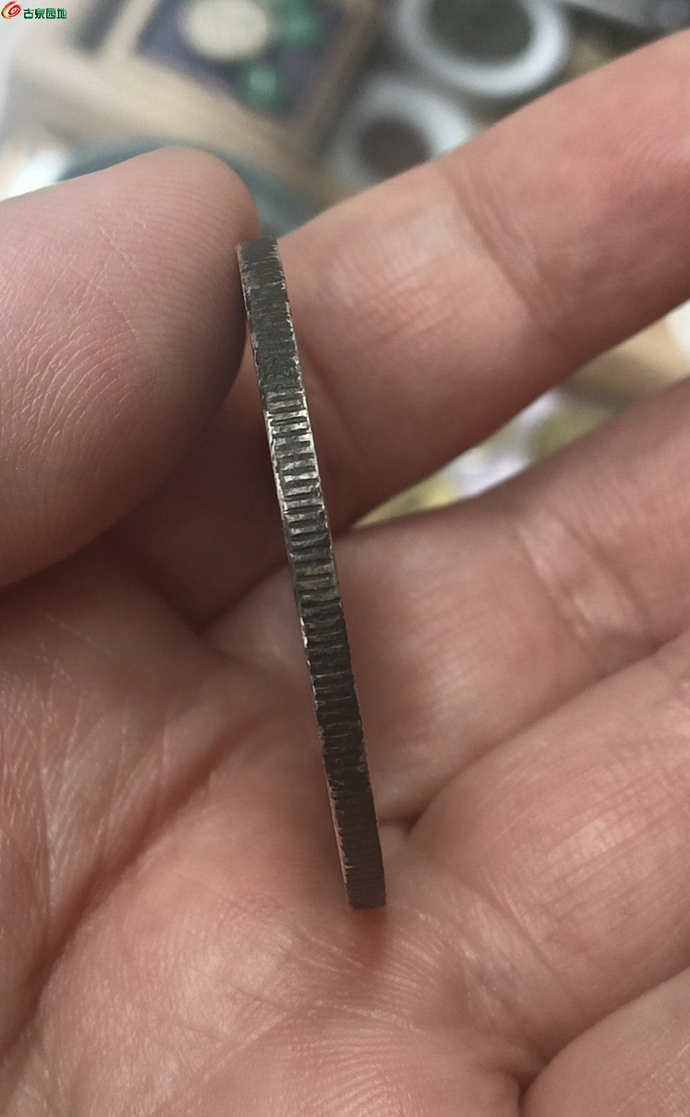 444444444.jpg