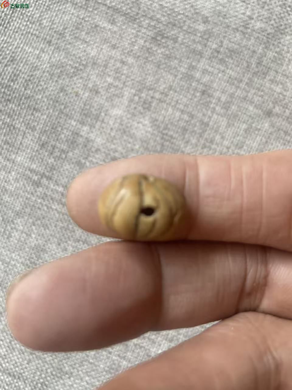 微信图片_20260902154844_9120_3.jpg