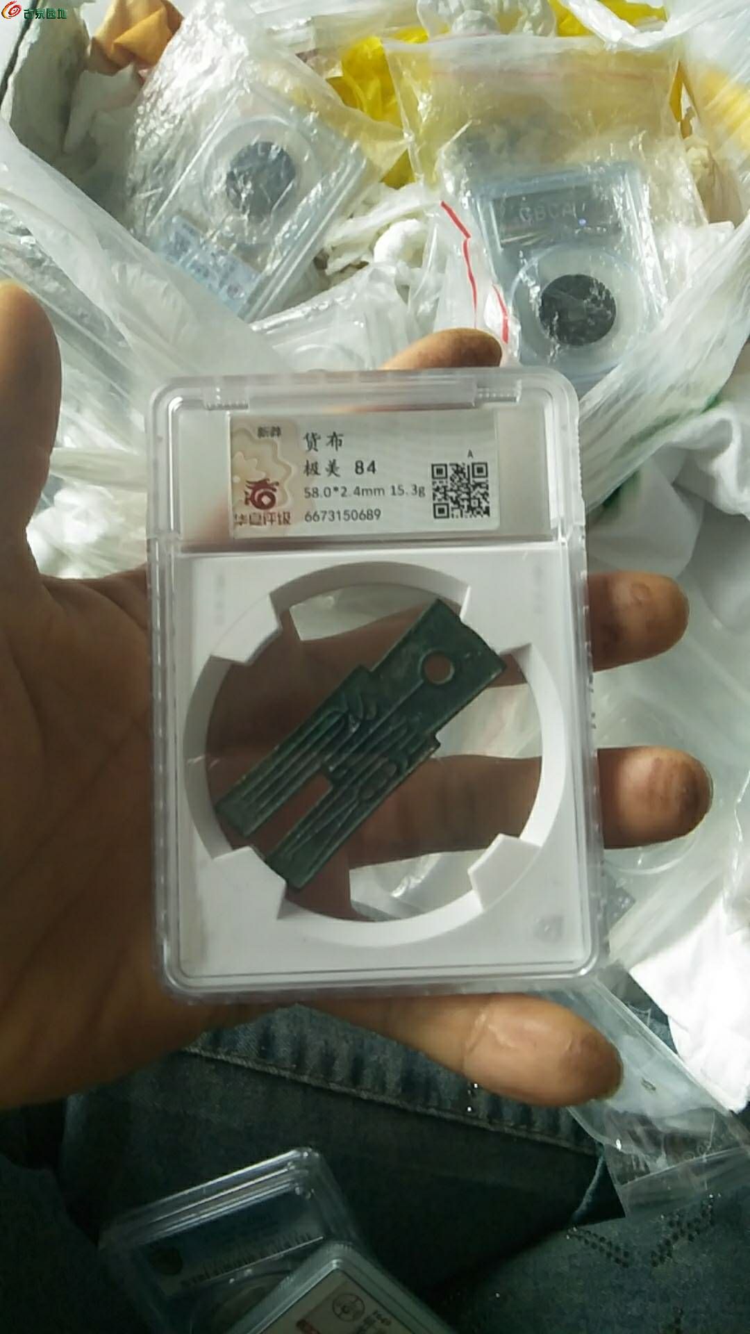 49997.jpg