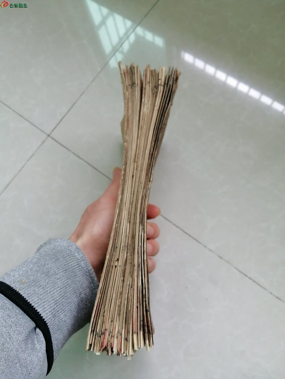 IMG_20230325_093928_edit_68160075945328.