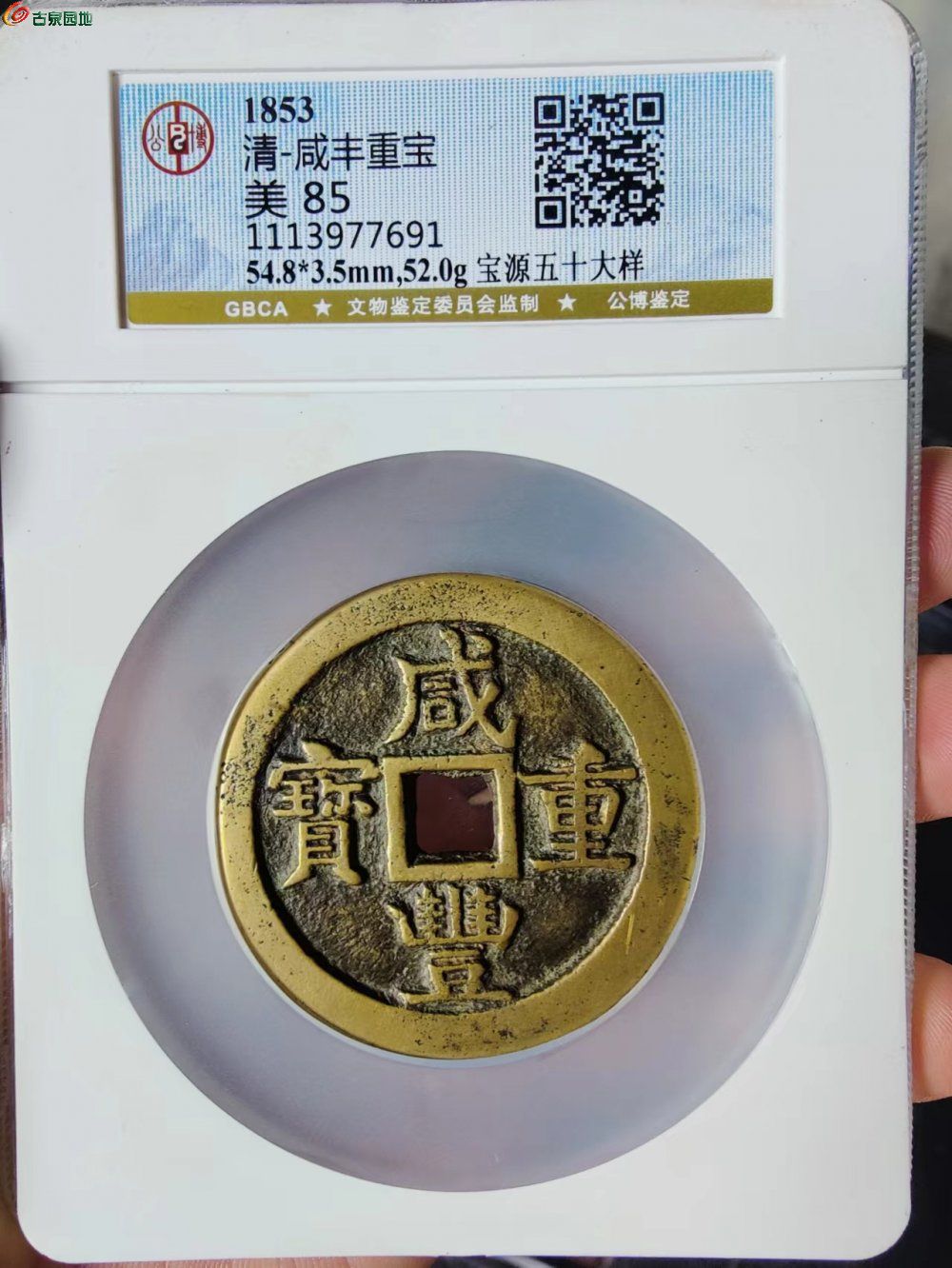 79772.jpg