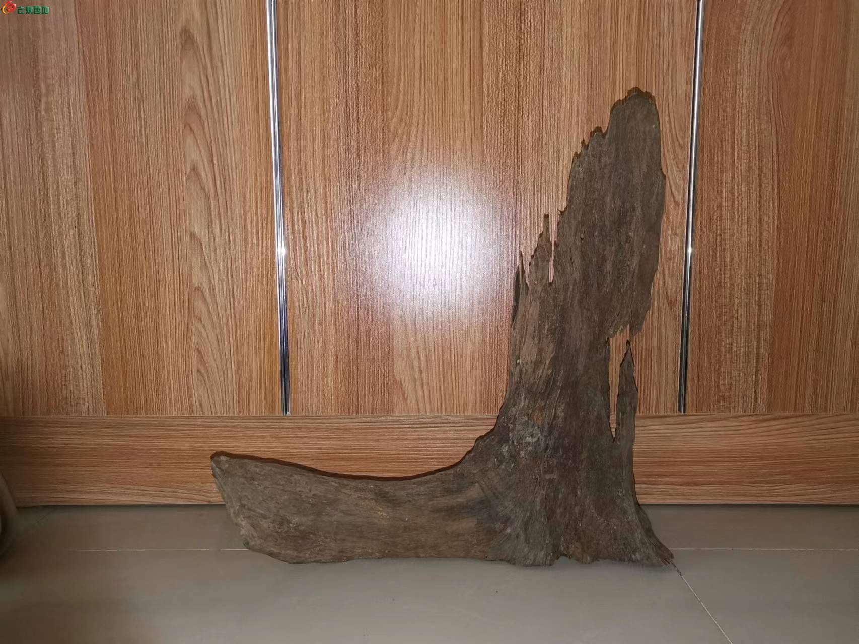 216.jpg