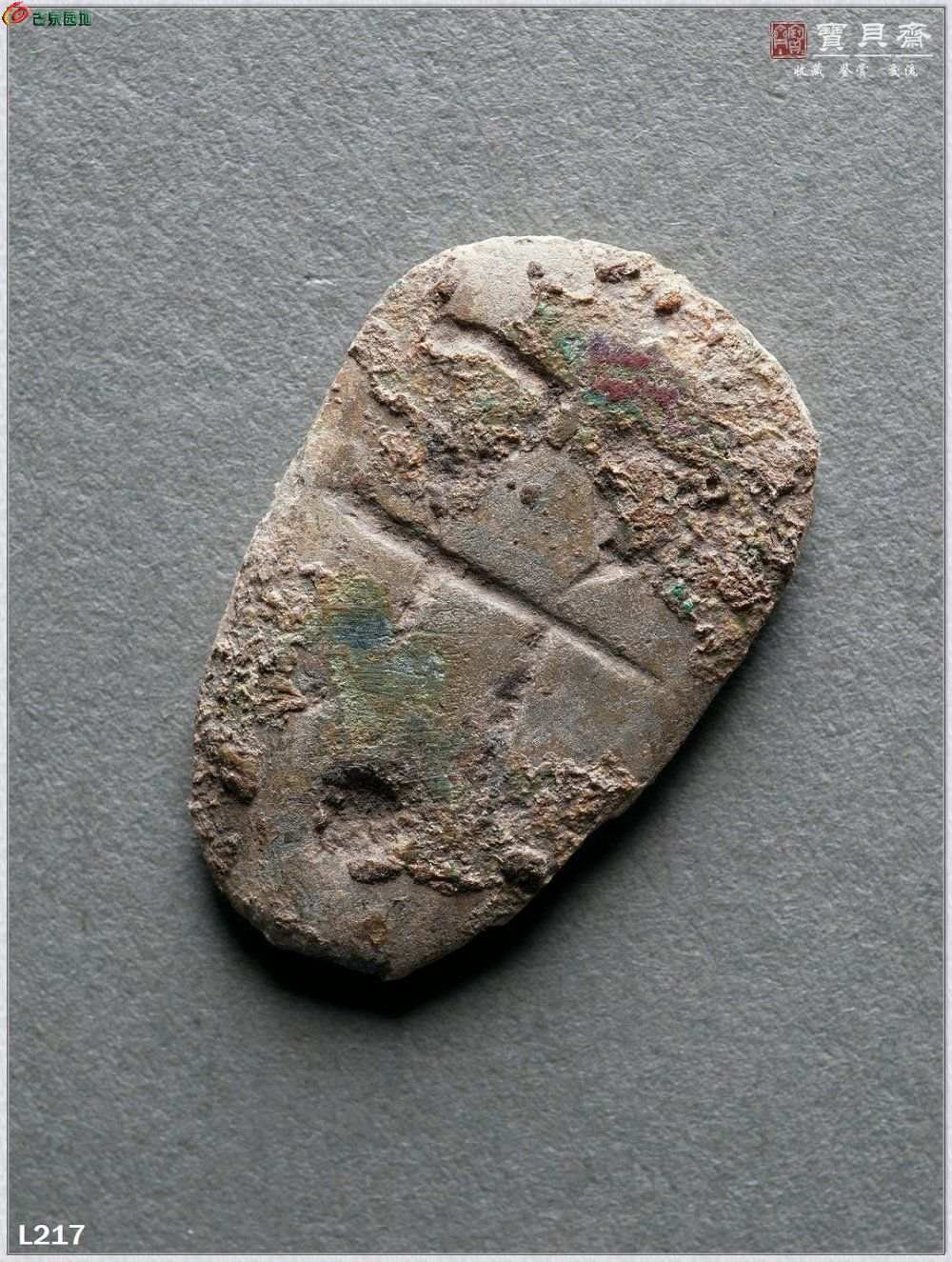 L217-5.jpg