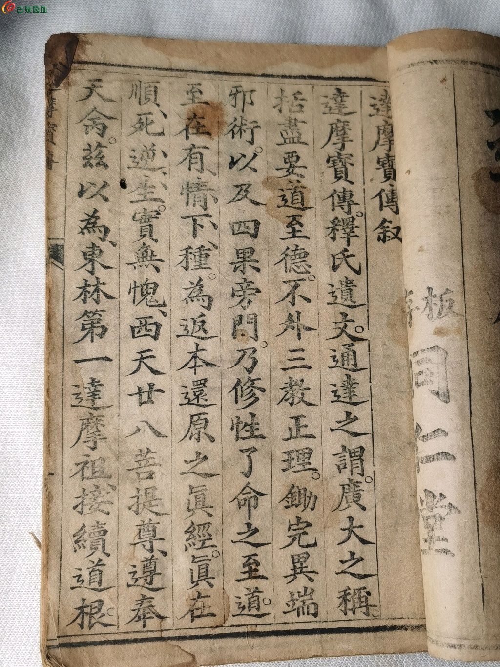 1695048789230.xfile.jpg