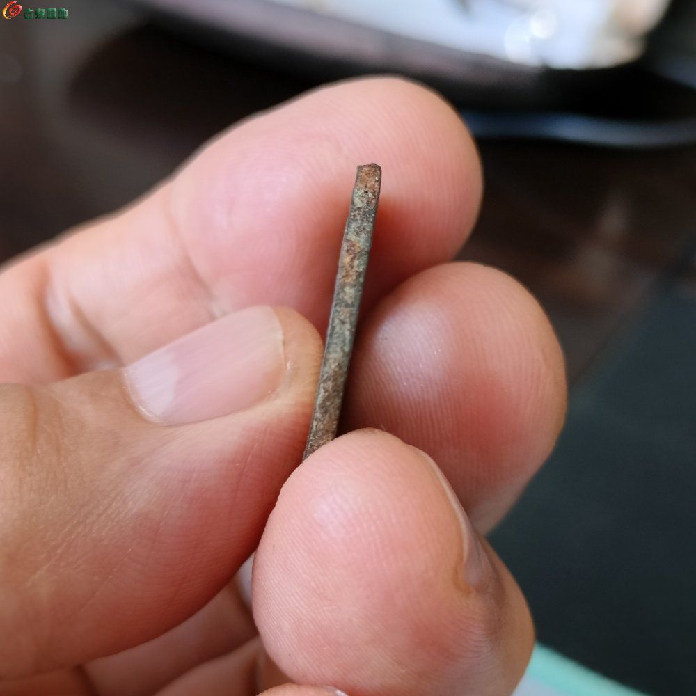 IMG20230915134604.jpg