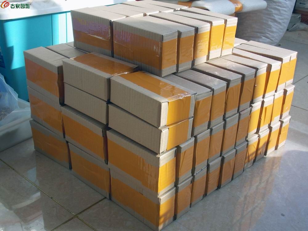 调整大小 DSCN2304.JPG