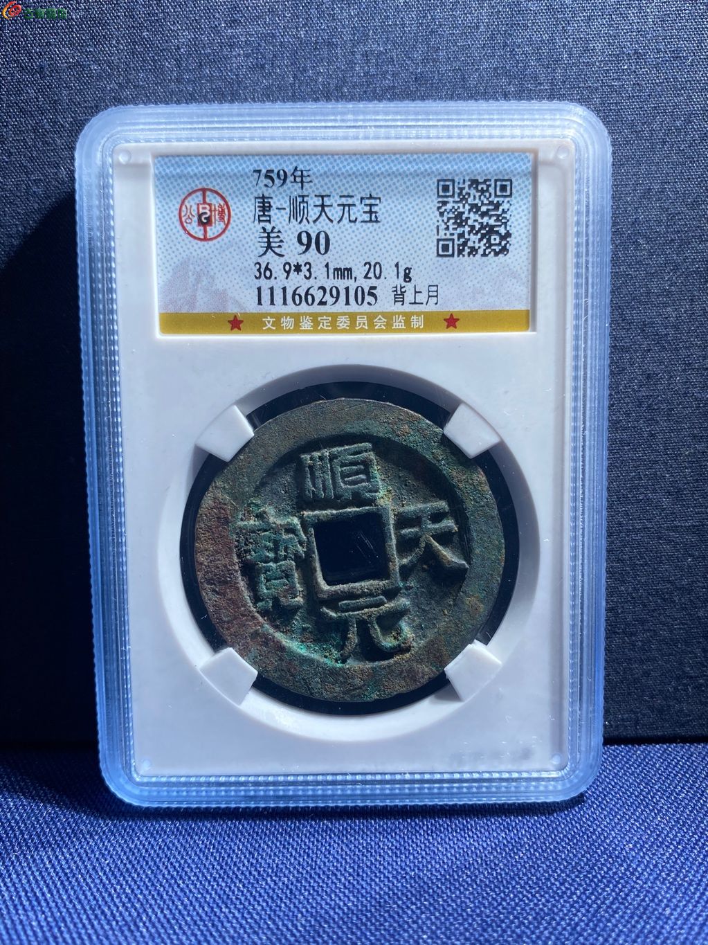 顺天元宝背上月