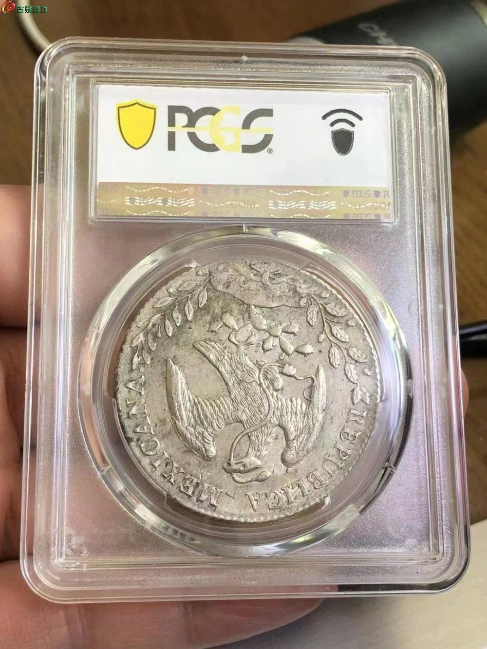 美评PCGS AU53分原光花边1894年墨西哥鹰洋银币第42名全羽毛极美品2752