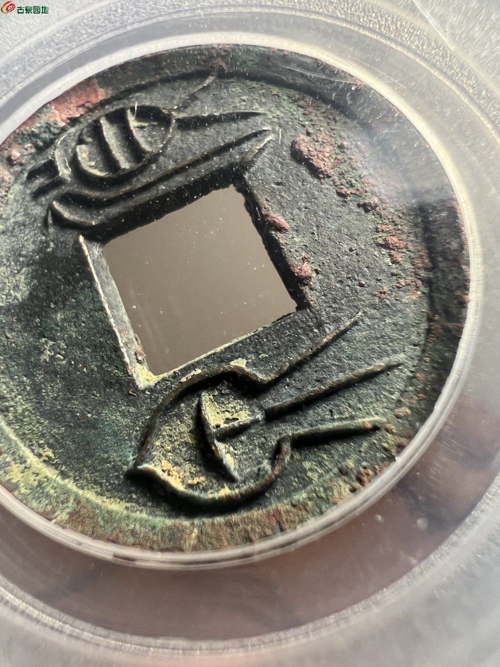 C29FFED2-B44F-4F3C-9BBF-DA2466998700.jpe