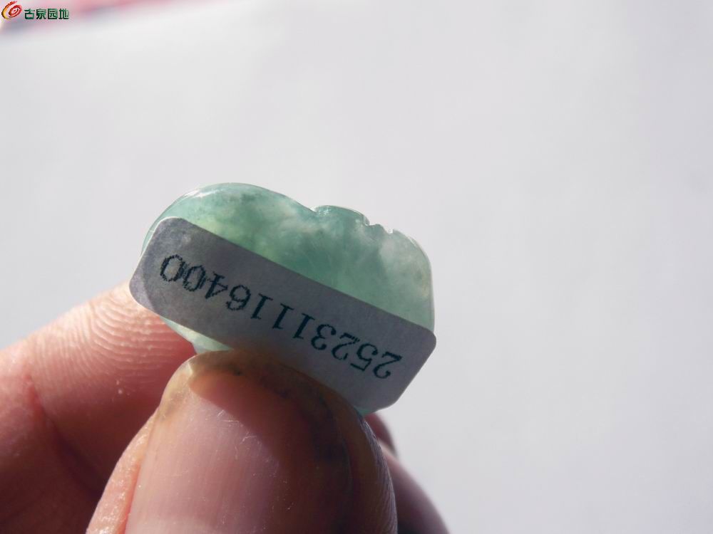 调整大小 DSCN0339.JPG